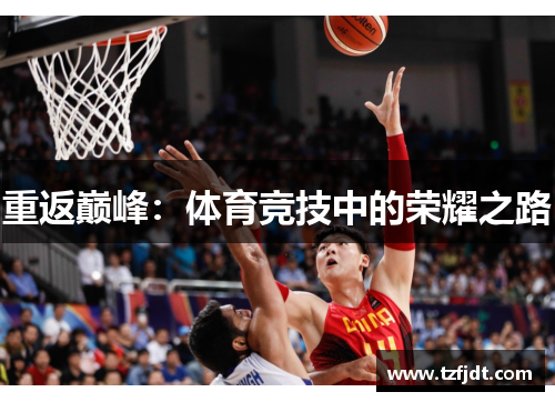 重返巅峰：体育竞技中的荣耀之路