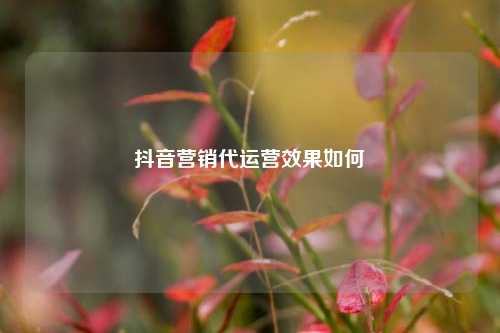 抖音营销代运营效果如何
