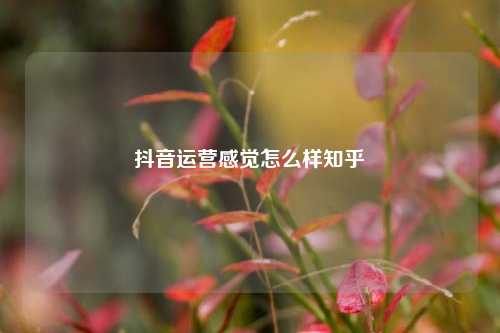 抖音运营感觉怎么样知乎