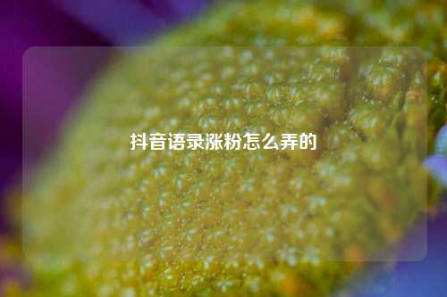 抖音语录涨粉怎么弄的