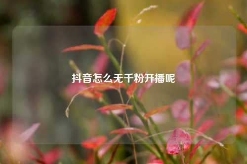 抖音怎么无千粉开播呢