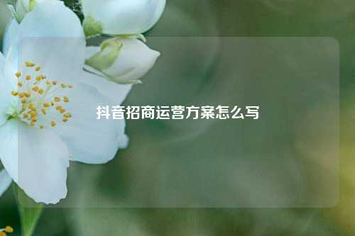 抖音招商运营方案怎么写