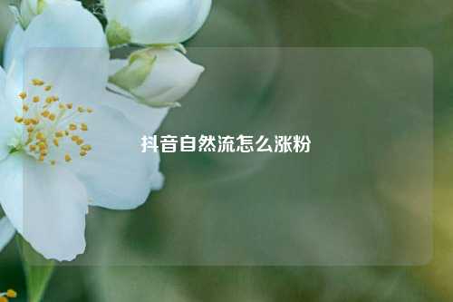 抖音自然流怎么涨粉