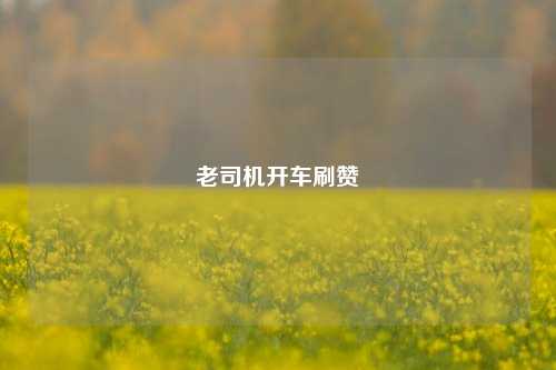 老司机开车刷赞
