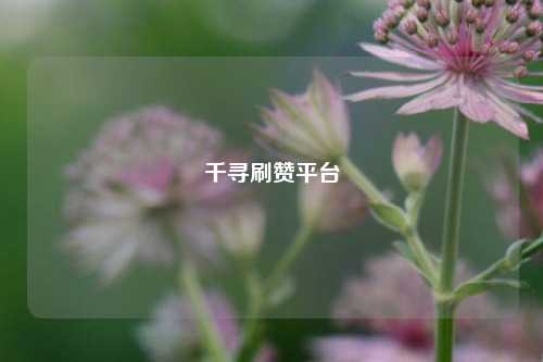 千寻刷赞平台