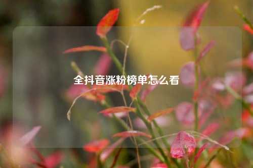 全抖音涨粉榜单怎么看