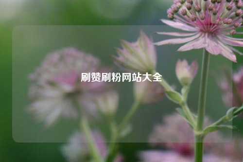 刷赞刷粉网站大全