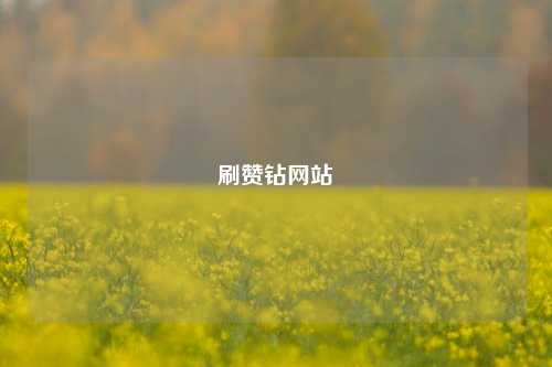 刷赞钻网站