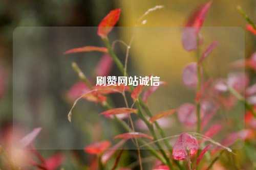 刷赞网站诚信