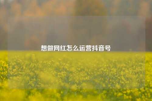 想做网红怎么运营抖音号